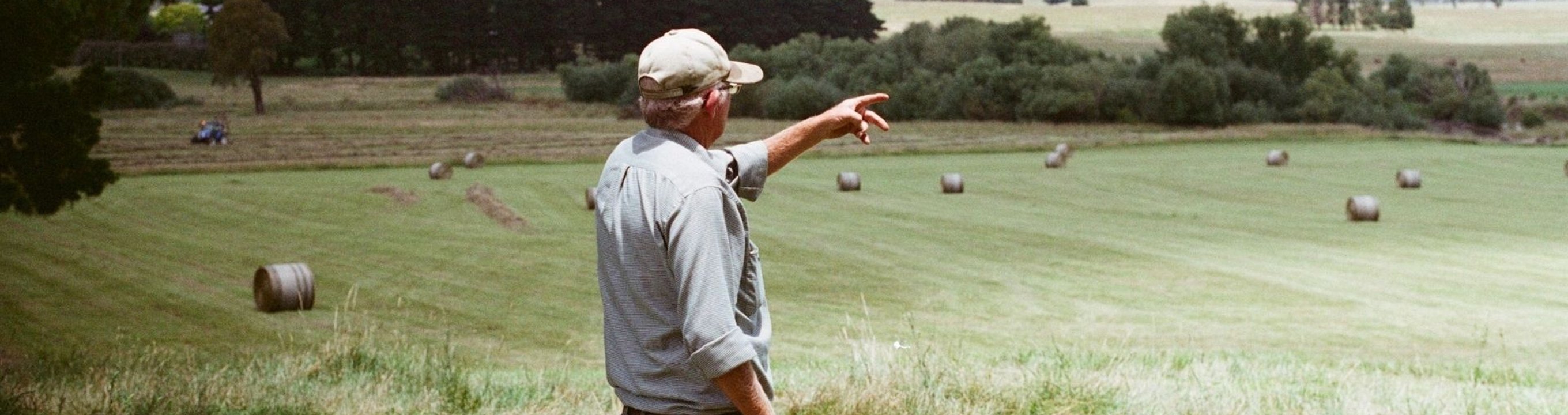 Person overlooking rural farmland with hay bales scattered across open fields.