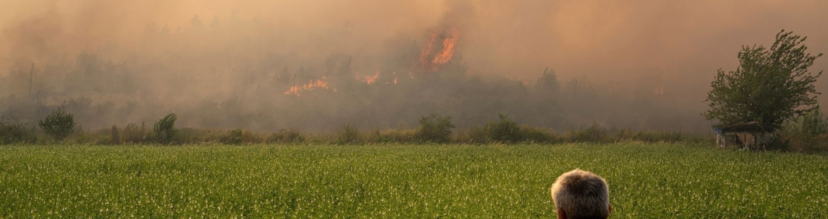Person holding a mobile phone while watching smoke and flames from a bushfire in the distance.